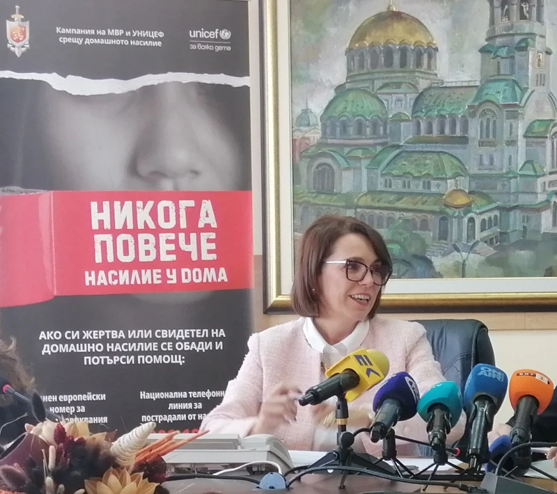Заради домашно насилие: Отнеха разрешителните за притежание на огнестрелно оръжие на 45 души
