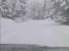 ����� �� ���������� ��� ������������: ����������� ������ ������ ����������� ����������