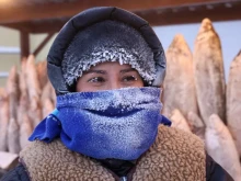 В най-студения град на земята нямат хладилници, просто изкарват храната навън