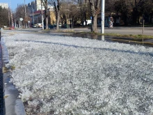 Уникална ледена приказка в Плевен