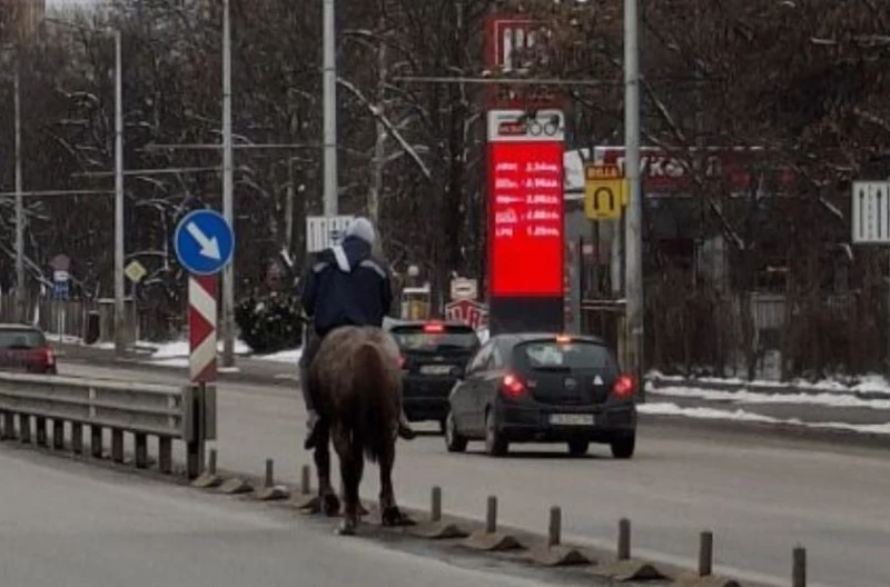 Мъж язди кон по софийските улици