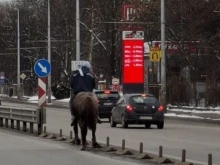 Мъж язди кон по софийските улици