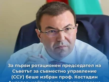 Депутатът от Велико Търново проф. Костадин Ангелов е оглави Съвета за съвместно управление