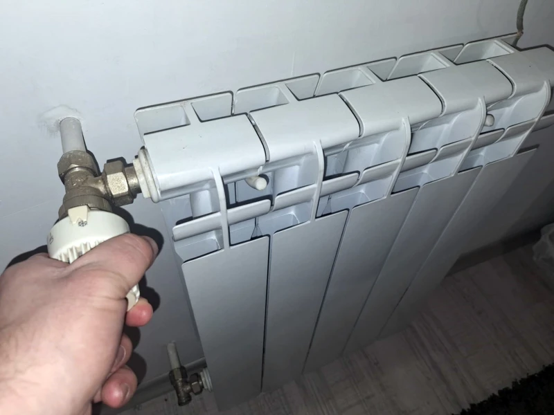 ���� ���.-�������� �� ������������:����� ���� ���������� � ��-�������� ������