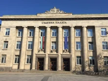В Русе: Осъдиха мъж за проявена жестокост към куче