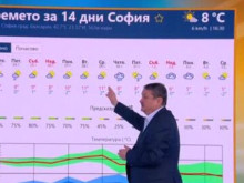 Проф. Рачев с прогноза за февруари