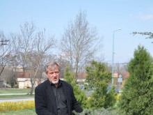 Вандалски изрязаха 30 годишни кедри, пречели на билборд да се вижда