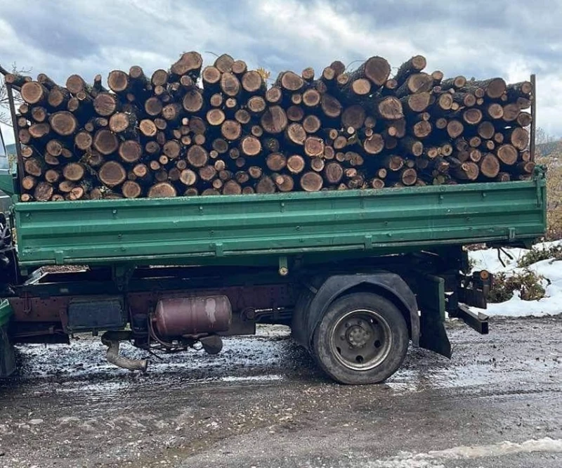 В Кюстендил записват за дърва за огрев