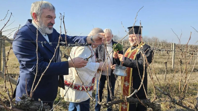 С водосвет и ритуал в Пиргово дадоха начало на лозарската година