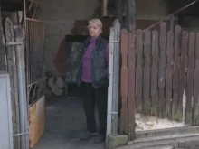������� ���� ������� �� �����������, ����� ��� ������ � ��������� ����� "�������"