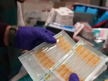 24 ������� � ������� �� ����������� �� ���������� �� ���������� ��������� � ��������� ��������