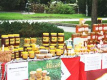 Специалист: Българският мед е на второ място в света по полезни вещества