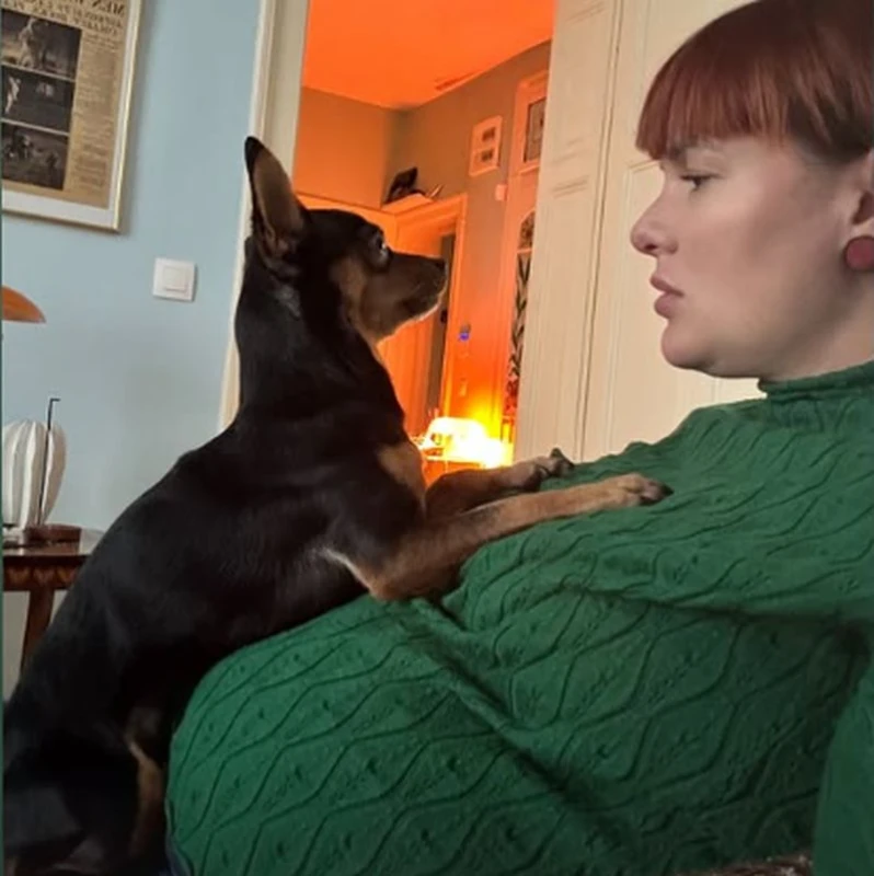 ��� ������ �� ����� �����, ����� � ���� �� ������