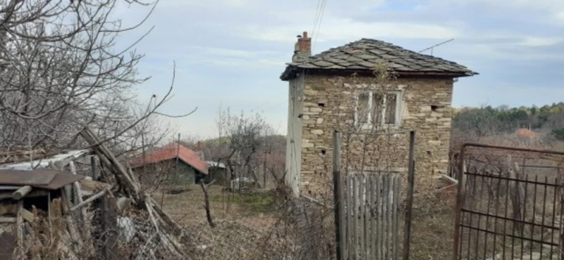 Financial Times: Емиграцията и ниската раждаемост изпразва българските села