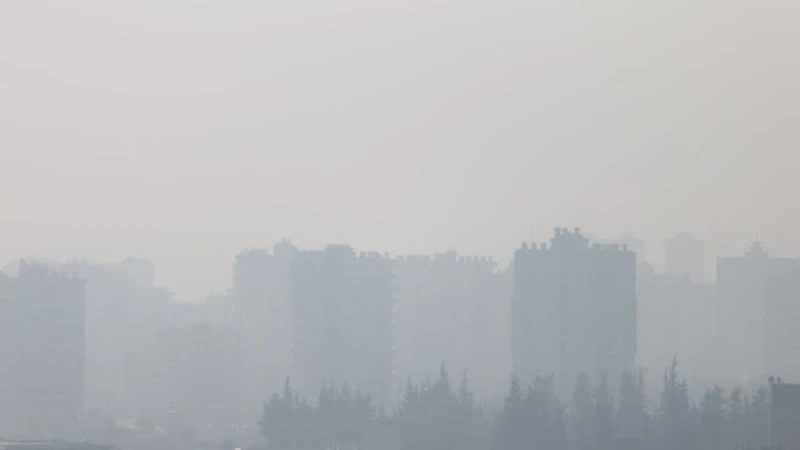 Meteo Balkans: Градският въздух не просто разболява дробовете ни – той буквално саботира ума ни