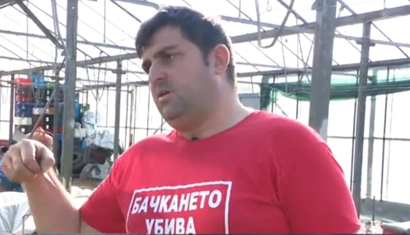 Производител: Продавам домати за 80 стотинки, докато стигне до магазина става 5 лева