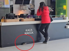 ���� � ������ �� ������� �� �������� ���