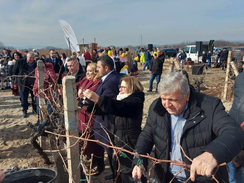 Големци зарязаха лозята в пловдивско село