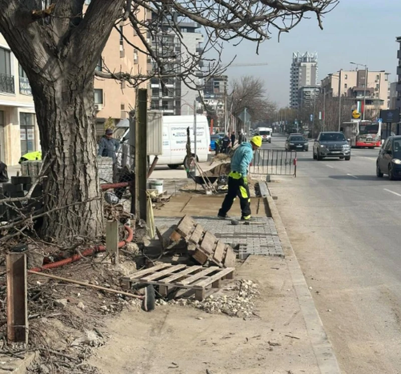 Майка от Пловдив: Това е абсурдно и недопустимо!