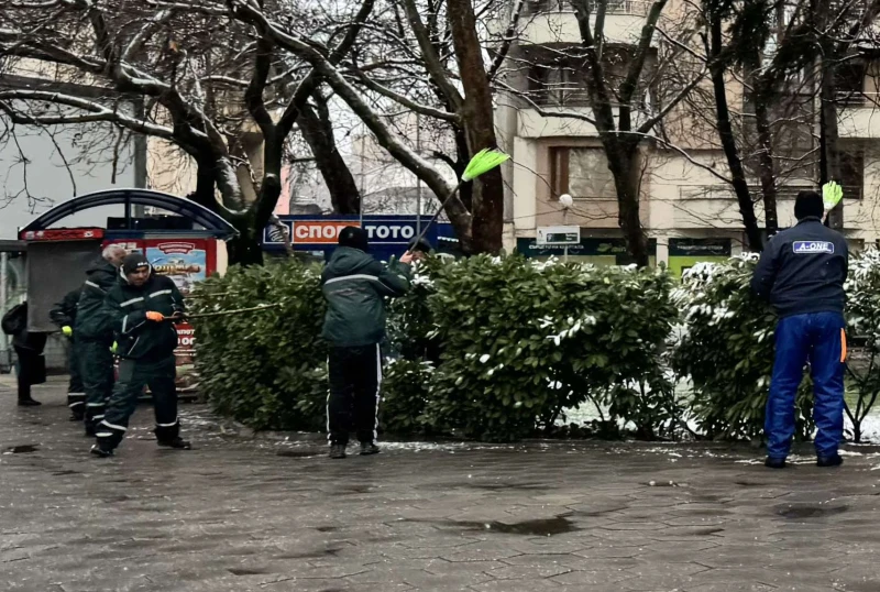 Почистиха и храстите в Пловдив от снега