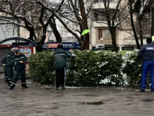 Почистиха и храстите в Пловдив от снега
