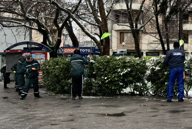 Почистиха и храстите от снега в Пловдив