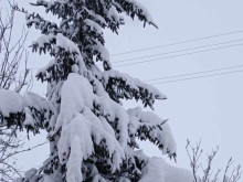 ��teo Bulgaria: ������� �� ����������� ���-20��