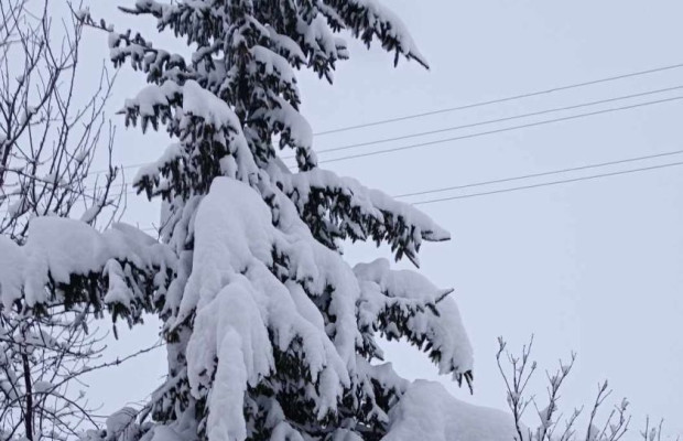 Меteo Bulgaria: Очакват ни температури под -20°С