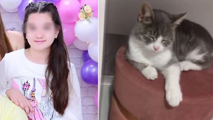 Котката герой, спасила от пожар дете, се върна