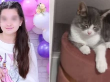 Котката герой, спасила от пожар дете, се върна