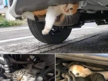  ,      ,  