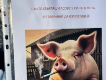 Ученици от Пловдив: Не забравяй да изгрухтиш, когато хвърляш фасовете си на земята
