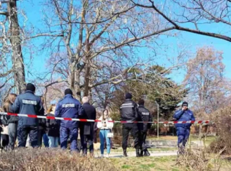 Откриха мъртъв мъж в землището на село Смоличано