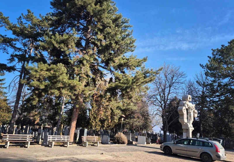 Важно за Голяма Задушница в Кюстендил