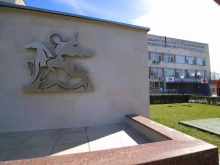 Редки клинични случаи представиха в Пловдив