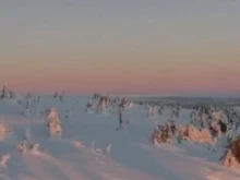 Масово унищожение на реколтата в един от най-плодородните региони в Бълг...