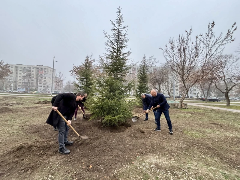 Кметове садиха дръвчета в "Южен"