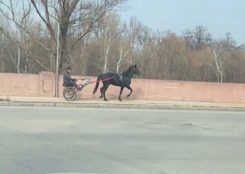 Е, и това видяхме по велоалеите на Пловдив