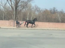 Е, и това видяхме по велоалеите на Пловдив