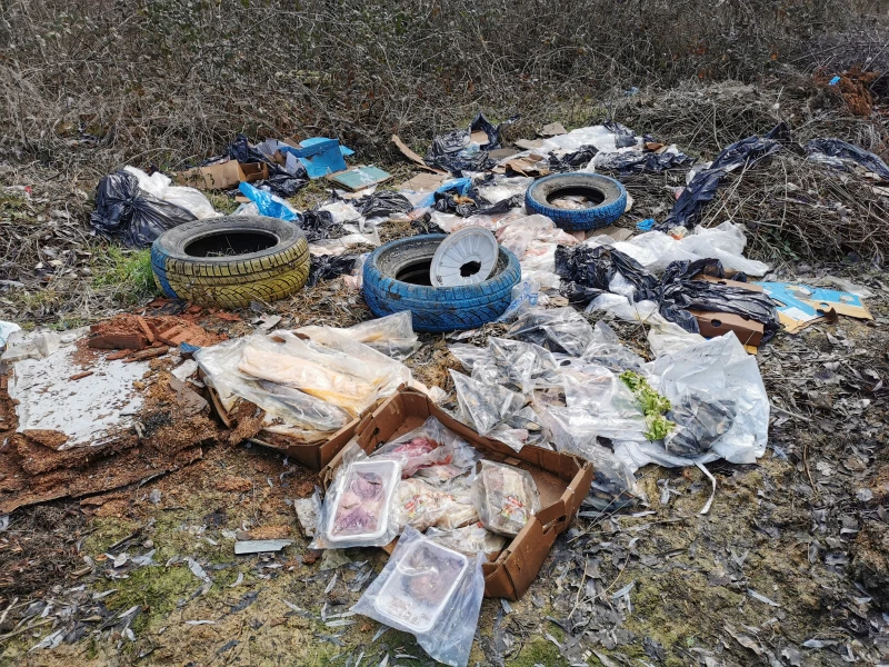 Пловдивчанка: Гнусно! Някой рибен ресторант е сторил това, не мога да го опиша
