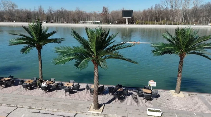 Заведение постави изкуствени палми с анкерни болтове на Гребната база
