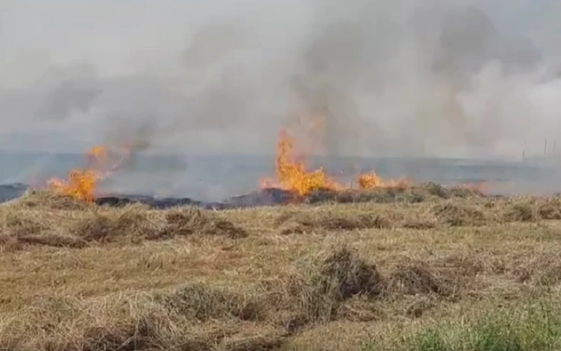 Солени глоби за палене на огън до горите в Кочериново