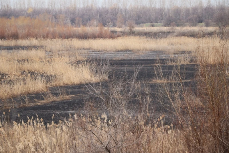 Пожарът край село Мечка е засегнал защитени зони от европейска мрежа