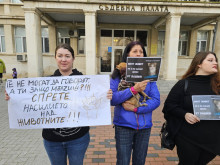 Обявиха кога ще бъде вторият протест във Варна срещу насилието над животни