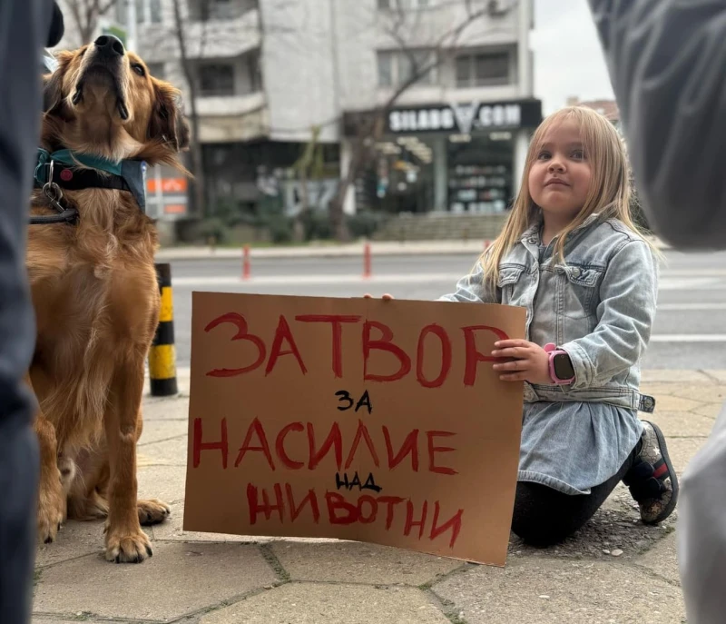 Пловдивчани: Садизмът е извратено насилие