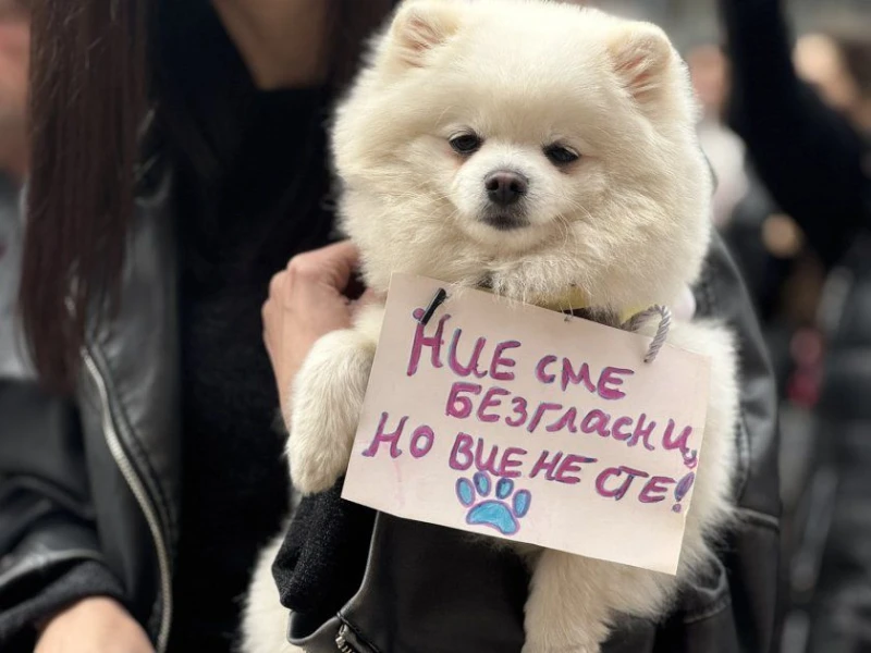 Русенци се включват в протеста срещу садистите, убивали животни в Перник