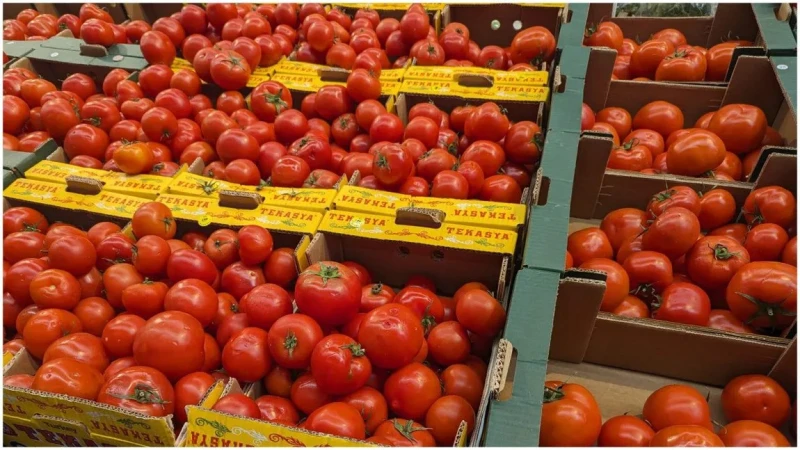 Tурски домати се продават като български, а към рапичното олио добавят аромати, за да е като гръцки зехтин