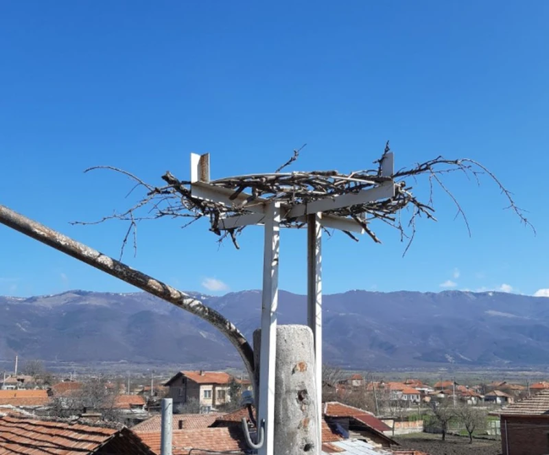 Нови платформи пазят щъркеловите гнезда в Южна България