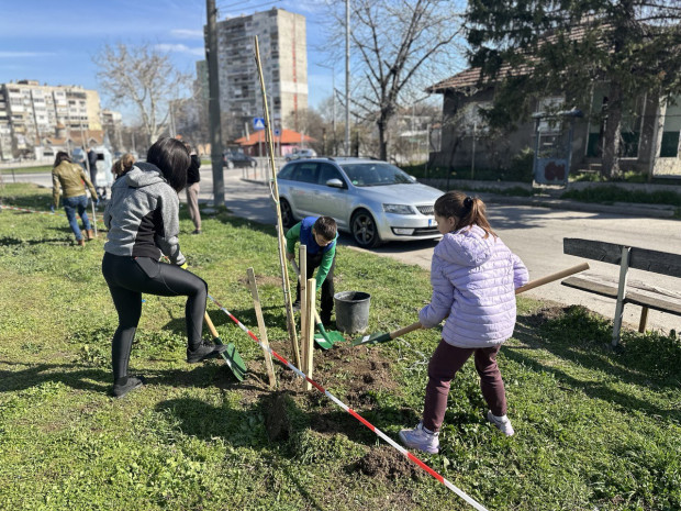 В тревната площ в близост до кръговото кръстовище на ул