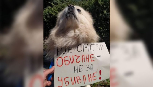 Духовният водач на Русенската епархия също се присъедини към гражданската